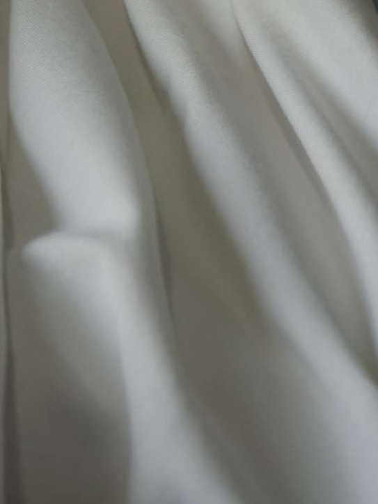 Organic Cotton 301 30s fabric swatch