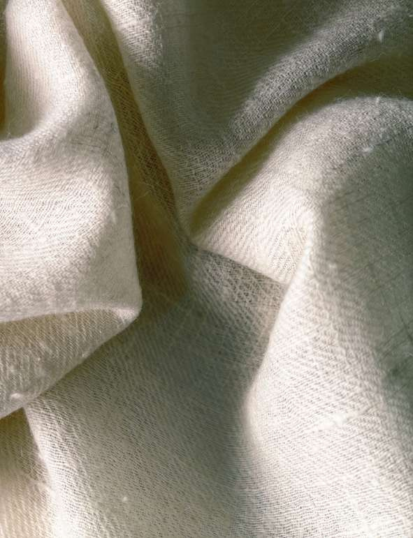 Pashmina fabric swatch
